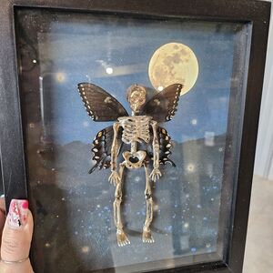 Framed Skeleton Butterfly Art with Moon